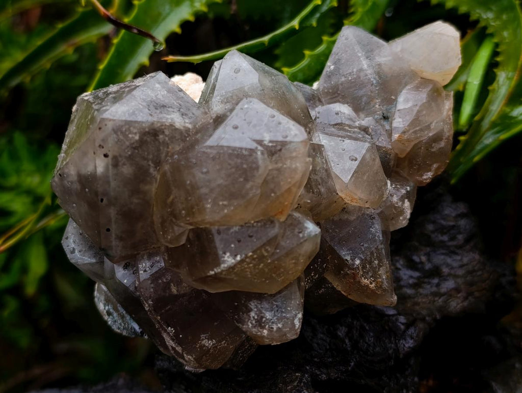 Natural Stacked Erongo Mountain Phantom Smokey Quartz Crystal Cluster with Fluorescent Hyalite x 1 From Erongo, Namibia