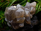 Natural Stacked Erongo Mountain Phantom Smokey Quartz Crystal Cluster with Fluorescent Hyalite x 1 From Erongo, Namibia