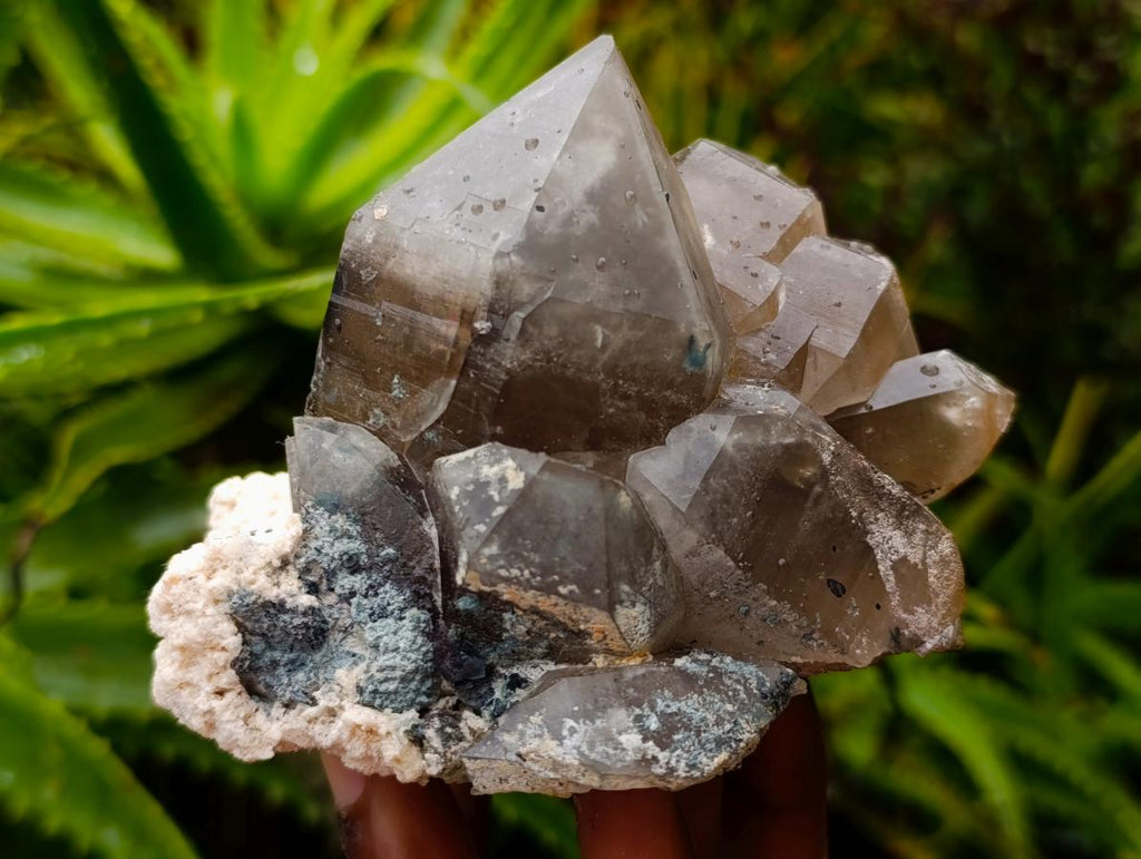 Natural Stacked Erongo Mountain Phantom Smokey Quartz Crystal Cluster with Fluorescent Hyalite x 1 From Erongo, Namibia