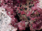 Natural Exquisite Large Gemmy Pink Spherocobaltite and Heterogenite Specimen x 1 From Mashamba West Mine, Congo