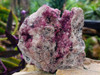 Natural Exquisite Large Gemmy Pink Spherocobaltite and Heterogenite Specimen x 1 From Mashamba West Mine, Congo