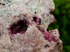 Natural Exquisite Large Gemmy Pink Spherocobaltite and Heterogenite Specimen x 1 From Mashamba West Mine, Congo