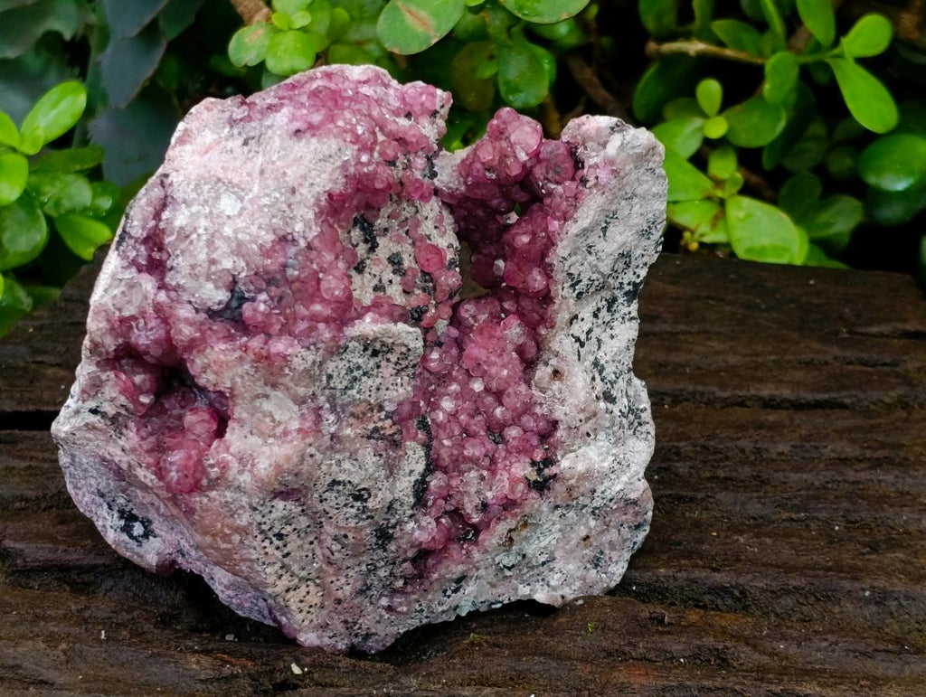 Natural Exquisite Large Gemmy Pink Spherocobaltite and Heterogenite Specimen x 1 From Mashamba West Mine, Congo
