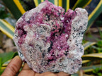 Natural Exquisite Large Gemmy Pink Spherocobaltite and Heterogenite Specimen x 1 From Mashamba West Mine, Congo