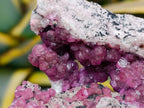 Natural Exquisite Large Gemmy Pink Spherocobaltite and Heterogenite Specimen x 1 From Mashamba West Mine, Congo