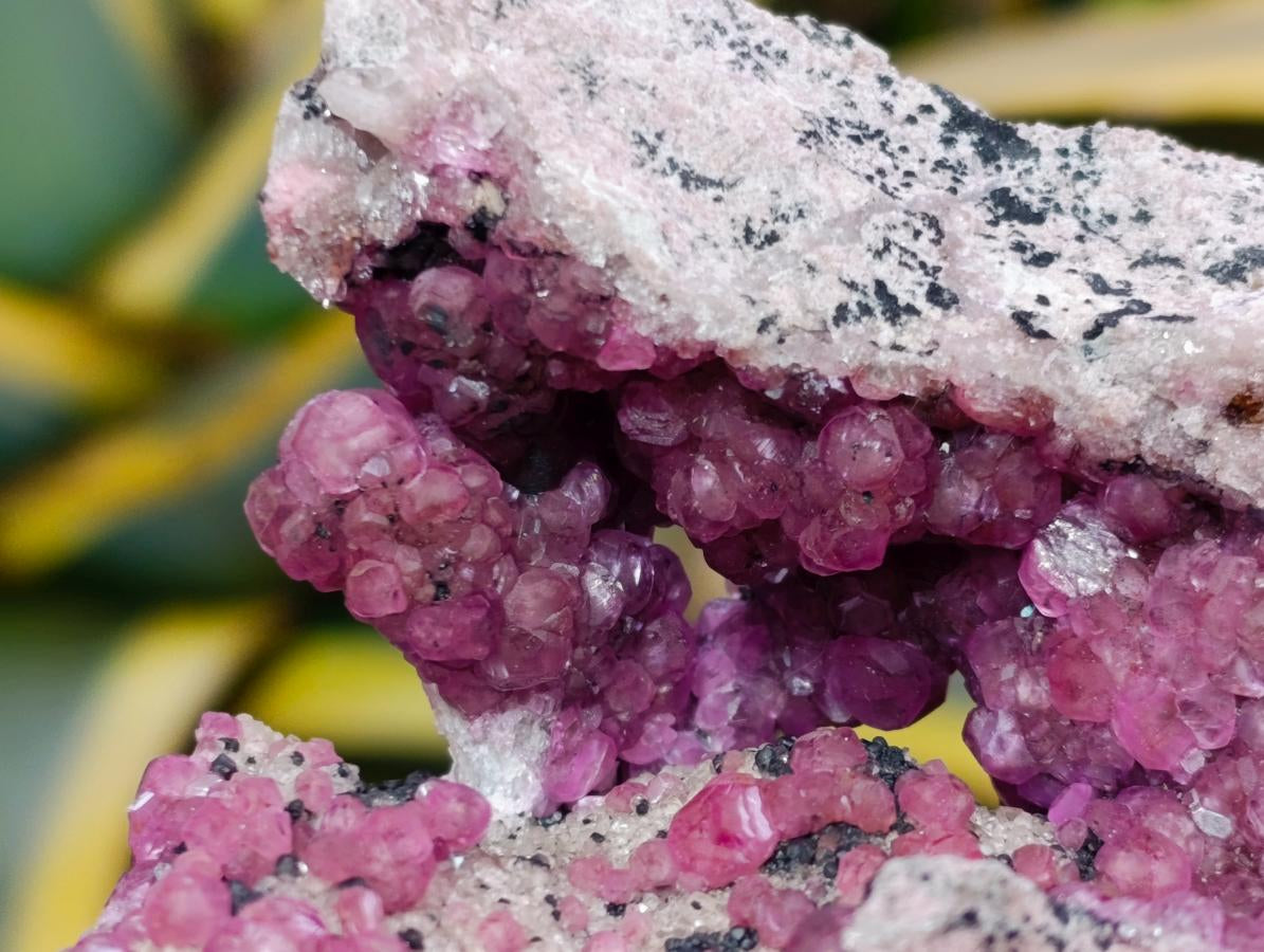 Natural Exquisite Large Gemmy Pink Spherocobaltite and Heterogenite Specimen x 1 From Mashamba West Mine, Congo