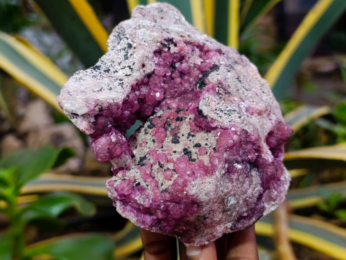 Natural Exquisite Large Gemmy Pink Spherocobaltite and Heterogenite Specimen x 1 From Mashamba West Mine, Congo