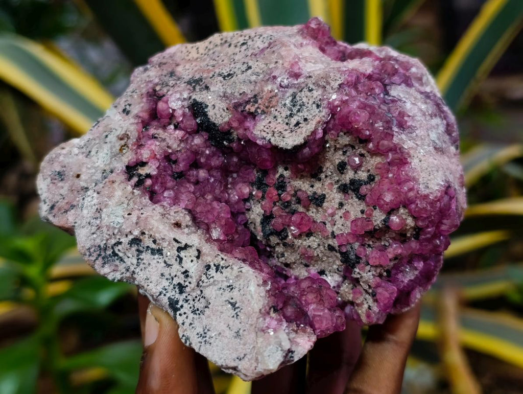 Natural Exquisite Large Gemmy Pink Spherocobaltite and Heterogenite Specimen x 1 From Mashamba West Mine, Congo