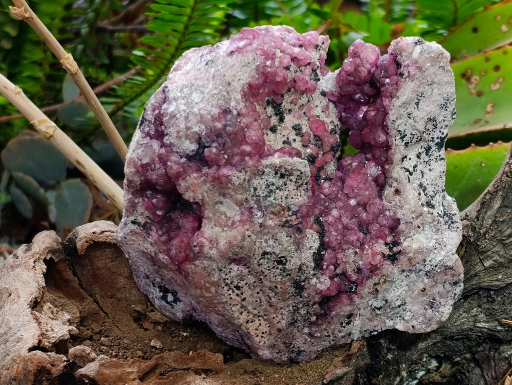 Natural Exquisite Large Gemmy Pink Spherocobaltite and Heterogenite Specimen x 1 From Mashamba West Mine, Congo