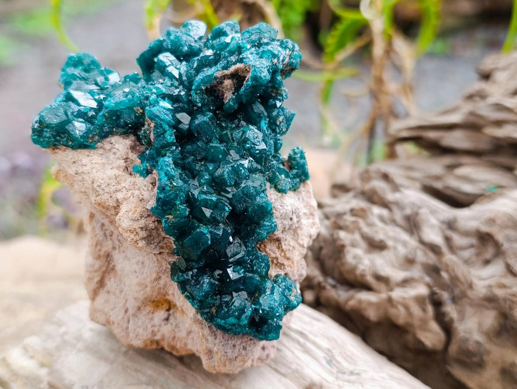 Natural Gorgeous Emerald Green Cabinet Sized Classic Dioptase Specimen x 1 From Tantara Mine, Congo