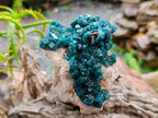Natural Gorgeous Emerald Green Cabinet Sized Classic Dioptase Specimen x 1 From Tantara Mine, Congo