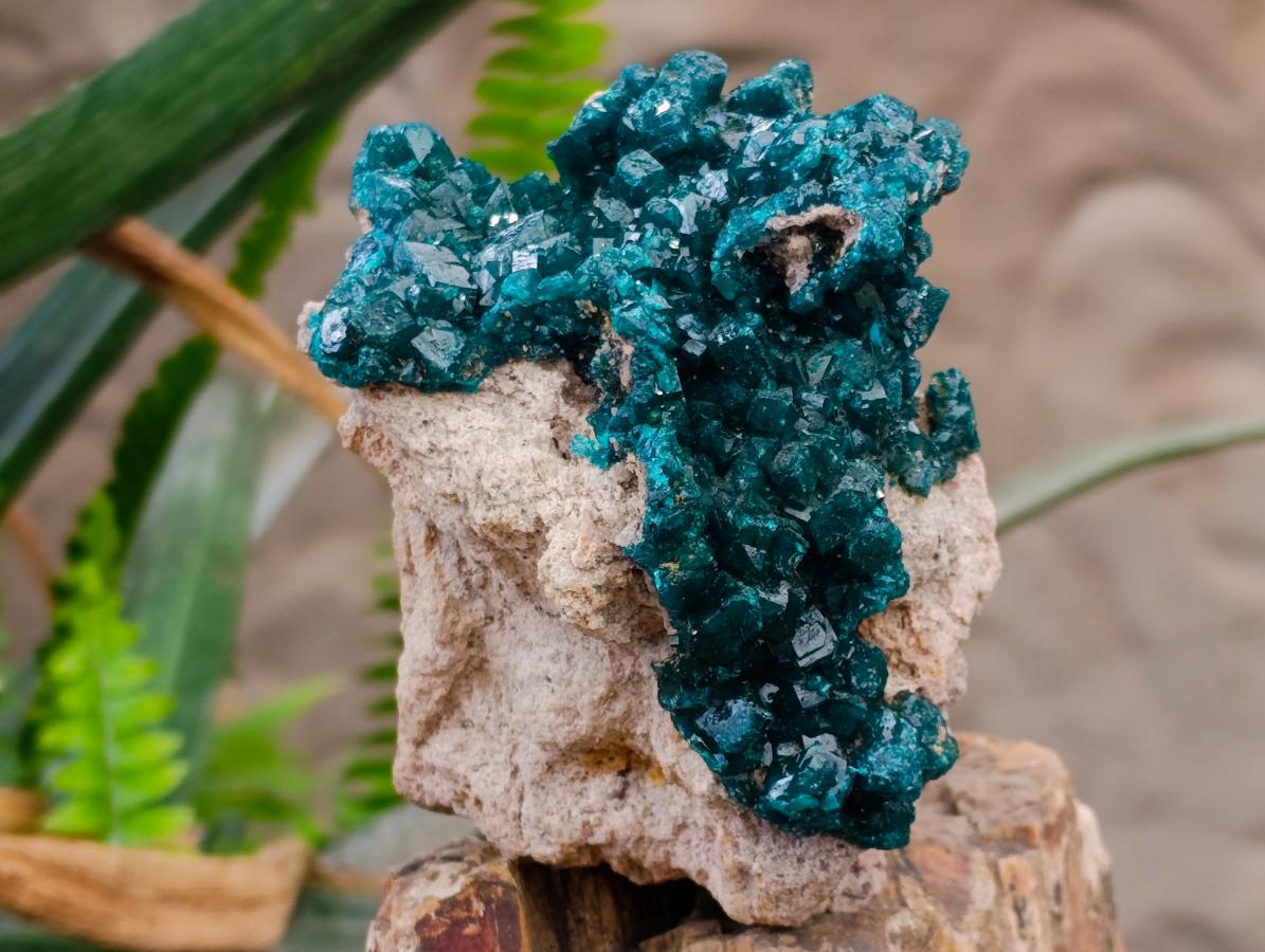 Natural Gorgeous Emerald Green Cabinet Sized Classic Dioptase Specimen x 1 From Tantara Mine, Congo