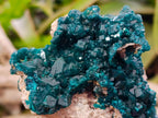 Natural Gorgeous Emerald Green Cabinet Sized Classic Dioptase Specimen x 1 From Tantara Mine, Congo