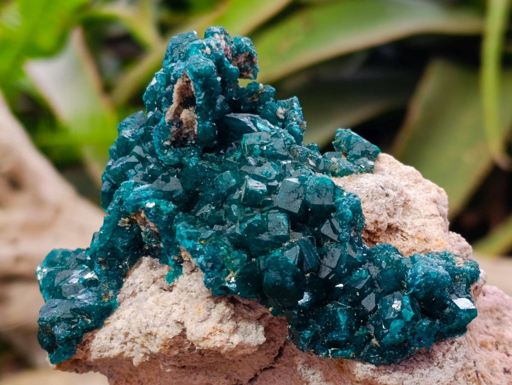 Natural Gorgeous Emerald Green Cabinet Sized Classic Dioptase Specimen x 1 From Tantara Mine, Congo