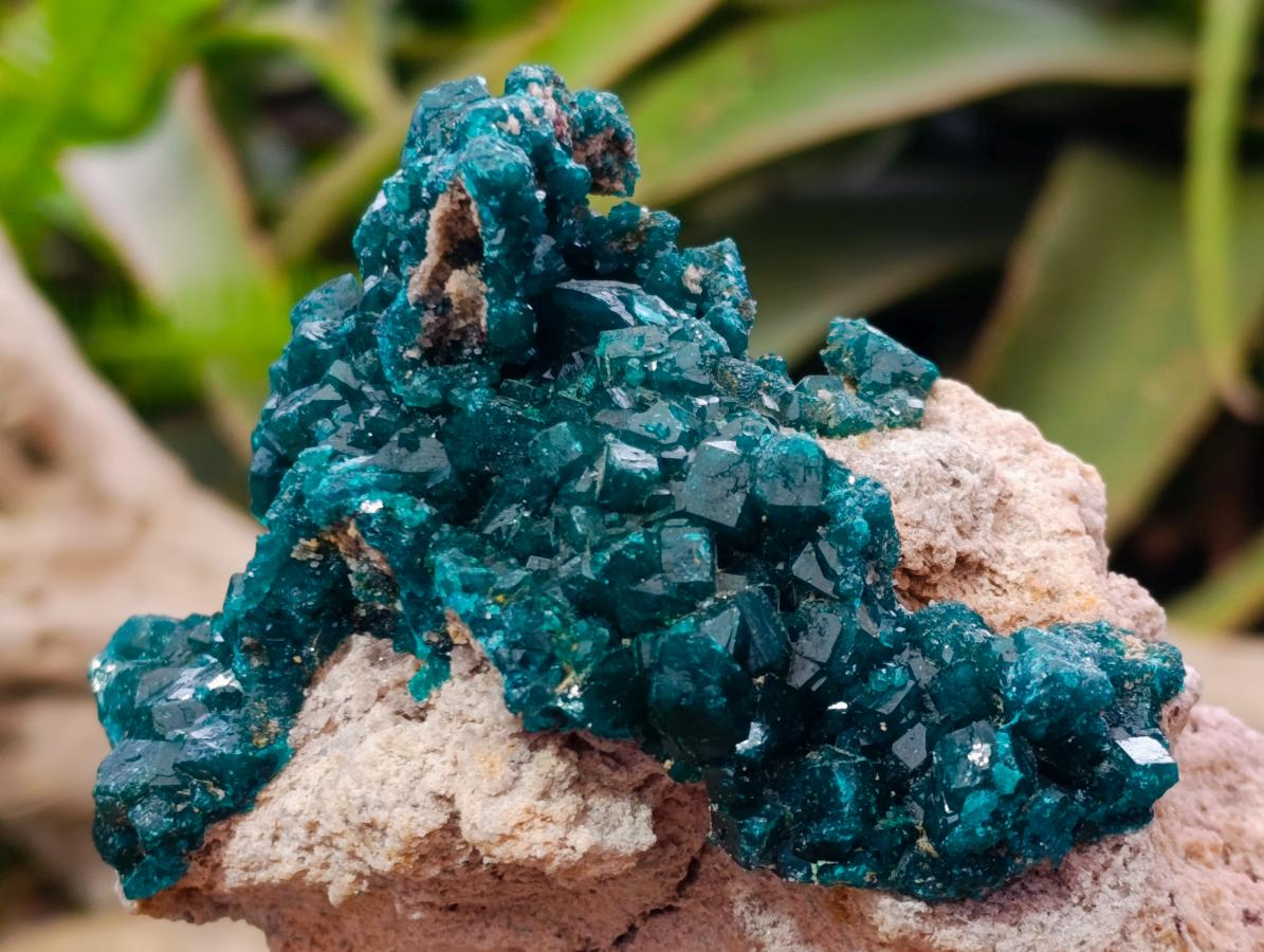 Natural Gorgeous Emerald Green Cabinet Sized Classic Dioptase Specimen x 1 From Tantara Mine, Congo