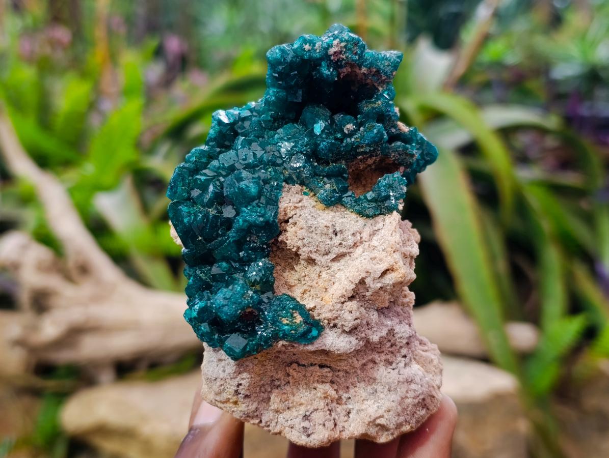 Natural Gorgeous Emerald Green Cabinet Sized Classic Dioptase Specimen x 1 From Tantara Mine, Congo