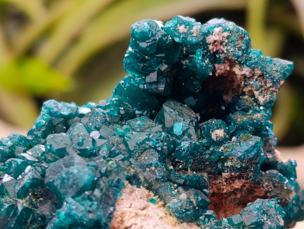 Natural Gorgeous Emerald Green Cabinet Sized Classic Dioptase Specimen x 1 From Tantara Mine, Congo
