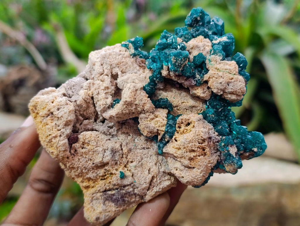 Natural Gorgeous Emerald Green Cabinet Sized Classic Dioptase Specimen x 1 From Tantara Mine, Congo