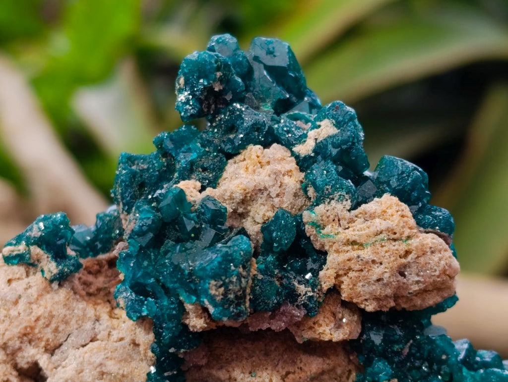 Natural Gorgeous Emerald Green Cabinet Sized Classic Dioptase Specimen x 1 From Tantara Mine, Congo