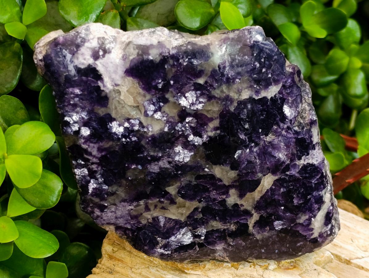 Polished One Side Silver Leaf Lepidolite Gemstone Display Piece x 1 From Zimbabwe