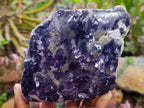 Polished One Side Silver Leaf Lepidolite Gemstone Display Piece x 1 From Zimbabwe