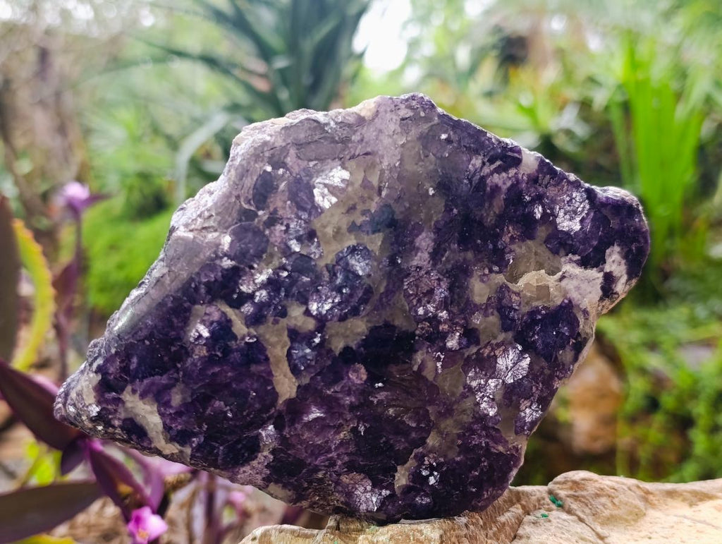 Polished One Side Silver Leaf Lepidolite Gemstone Display Piece x 1 From Zimbabwe