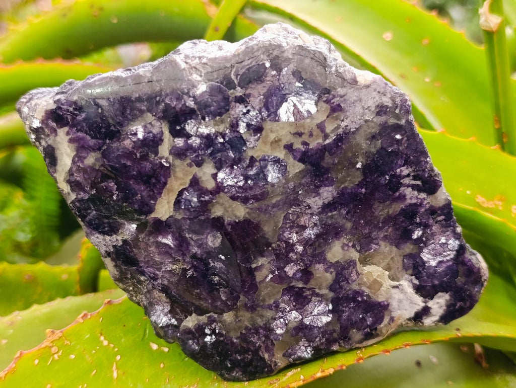 Polished One Side Silver Leaf Lepidolite Gemstone Display Piece x 1 From Zimbabwe