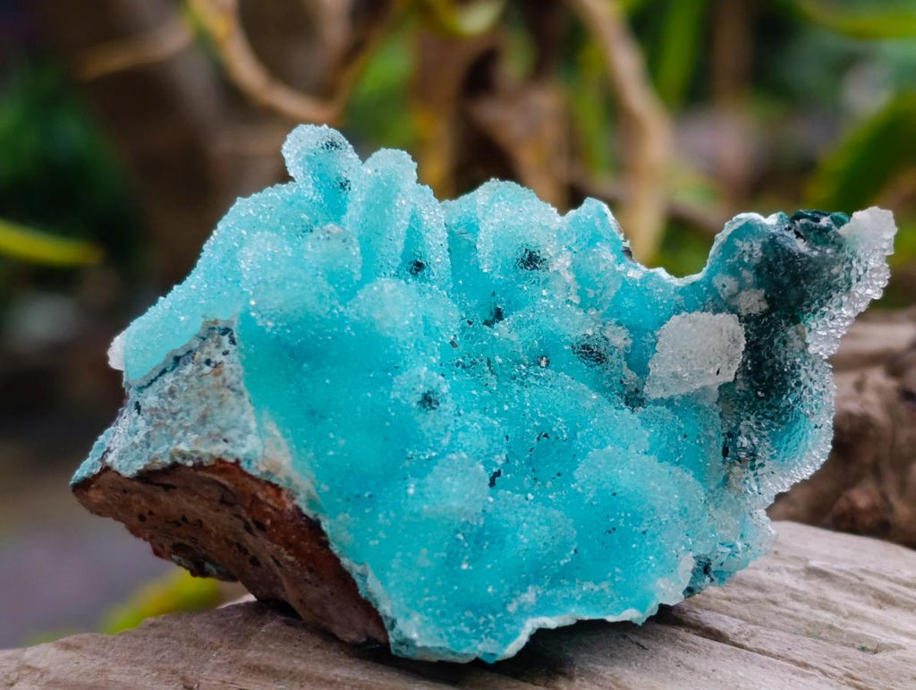 Natural Stunning Stalagmite Sugar Coated Chrysocolla Pseudomorph Specimen with Malachite x 1 From Lupoto Mine, Congo