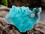 Natural Stunning Stalagmite Sugar Coated Chrysocolla Pseudomorph Specimen with Malachite x 1 From Lupoto Mine, Congo