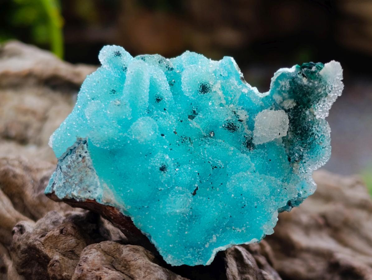 Natural Stunning Stalagmite Sugar Coated Chrysocolla Pseudomorph Specimen with Malachite x 1 From Lupoto Mine, Congo