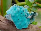 Natural Stunning Stalagmite Sugar Coated Chrysocolla Pseudomorph Specimen with Malachite x 1 From Lupoto Mine, Congo