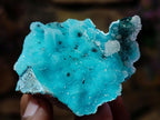 Natural Stunning Stalagmite Sugar Coated Chrysocolla Pseudomorph Specimen with Malachite x 1 From Lupoto Mine, Congo