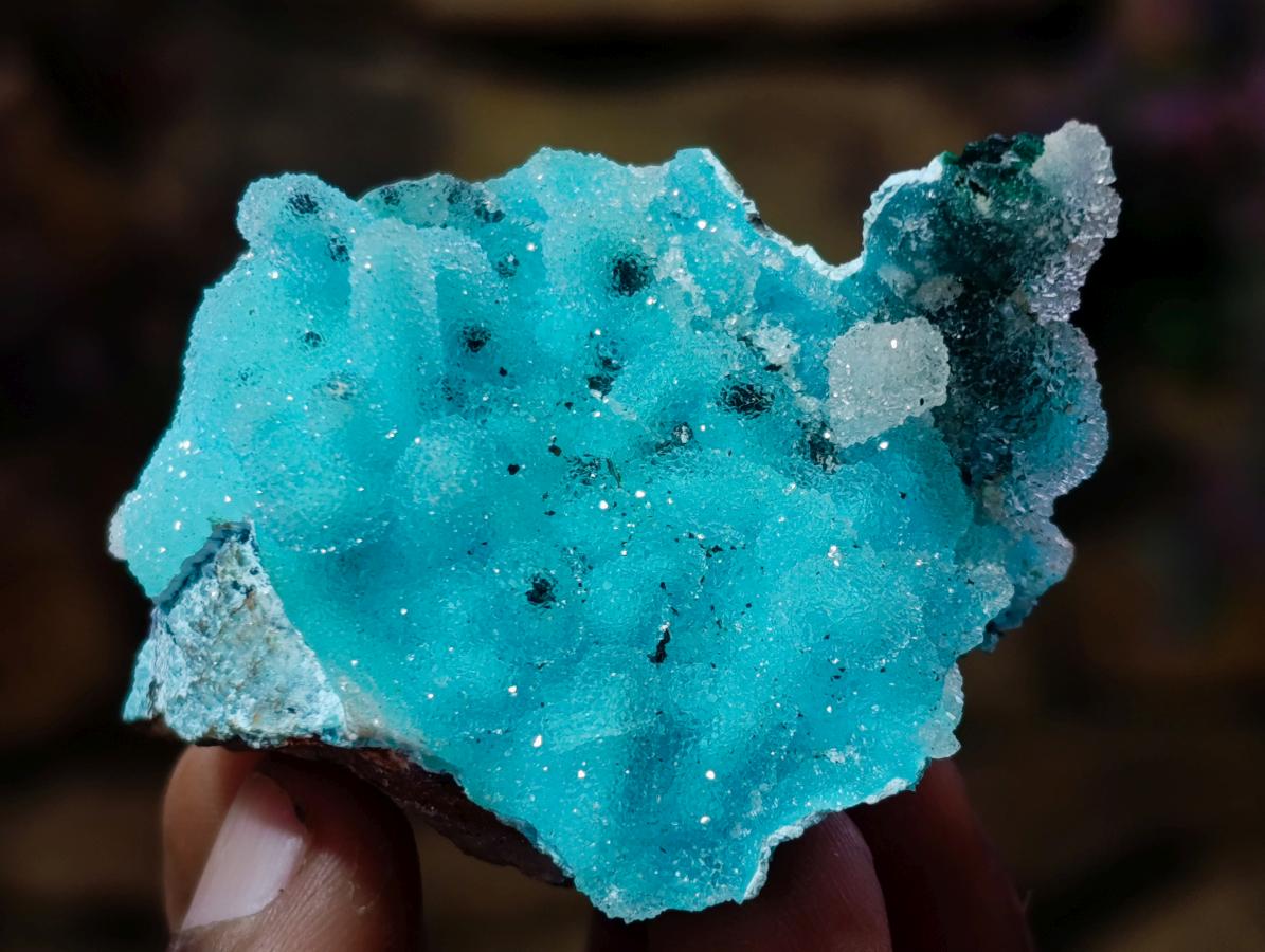 Natural Stunning Stalagmite Sugar Coated Chrysocolla Pseudomorph Specimen with Malachite x 1 From Lupoto Mine, Congo