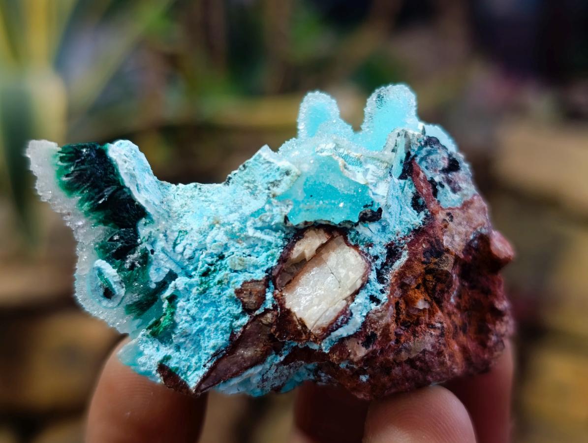 Natural Stunning Stalagmite Sugar Coated Chrysocolla Pseudomorph Specimen with Malachite x 1 From Lupoto Mine, Congo