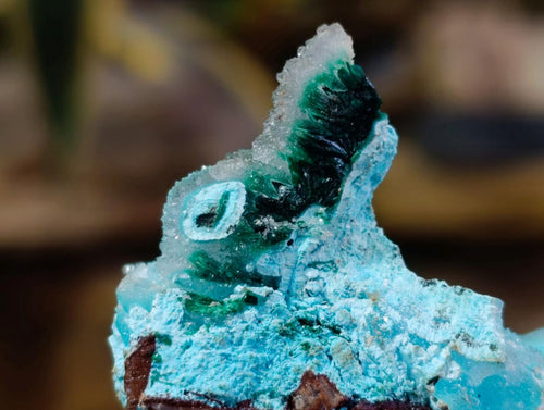 Natural Stunning Stalagmite Sugar Coated Chrysocolla Pseudomorph Specimen with Malachite x 1 From Lupoto Mine, Congo