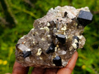 Natural Highly Fluorescent Schorl Black Tourmaline Smokey Quartz and Hyalite Opal Specimen x 1 From Erongo, Namibia