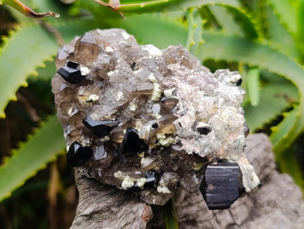 Natural Highly Fluorescent Schorl Black Tourmaline Smokey Quartz and Hyalite Opal Specimen x 1 From Erongo, Namibia