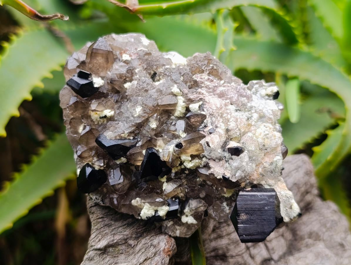 Natural Highly Fluorescent Schorl Black Tourmaline Smokey Quartz and Hyalite Opal Specimen x 1 From Erongo, Namibia