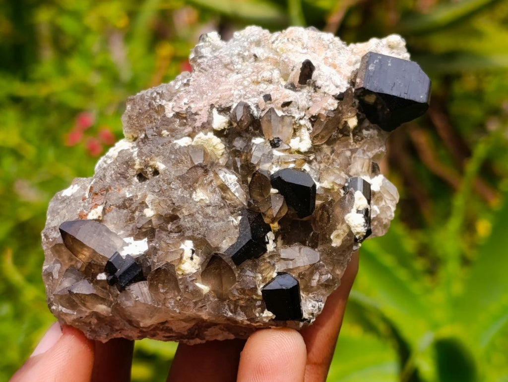 Natural Highly Fluorescent Schorl Black Tourmaline Smokey Quartz and Hyalite Opal Specimen x 1 From Erongo, Namibia