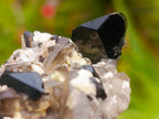 Natural Highly Fluorescent Schorl Black Tourmaline Smokey Quartz and Hyalite Opal Specimen x 1 From Erongo, Namibia