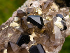 Natural Highly Fluorescent Schorl Black Tourmaline Smokey Quartz and Hyalite Opal Specimen x 1 From Erongo, Namibia