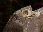 Natural Large Triple Fluorescent Smokey Quartz Crystal Cluster with Hyalite Opal Crystal x 1 From Erongo, Namibia