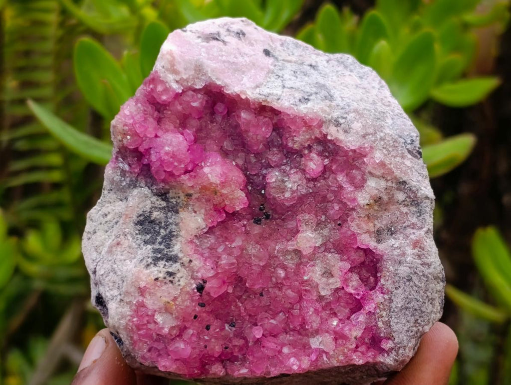 Natural Gemmy Pink Spherocobaltite Classic Cabinet Specimen x 1 From Mashamba West Mine, Congo