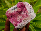 Natural Gemmy Pink Spherocobaltite Classic Cabinet Specimen x 1 From Mashamba West Mine, Congo
