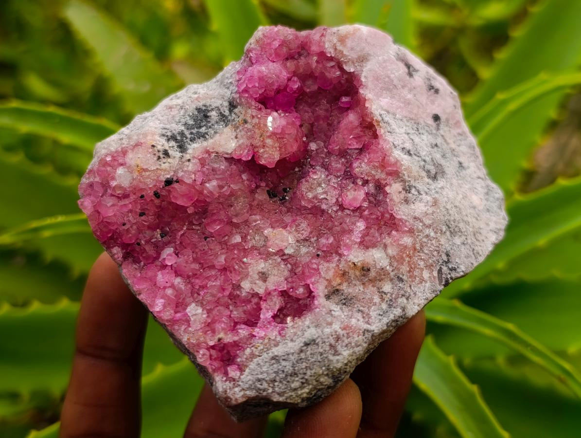 Natural Gemmy Pink Spherocobaltite Classic Cabinet Specimen x 1 From Mashamba West Mine, Congo
