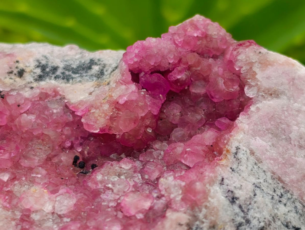Natural Gemmy Pink Spherocobaltite Classic Cabinet Specimen x 1 From Mashamba West Mine, Congo