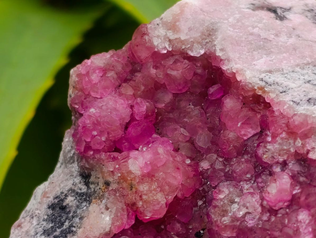 Natural Gemmy Pink Spherocobaltite Classic Cabinet Specimen x 1 From Mashamba West Mine, Congo