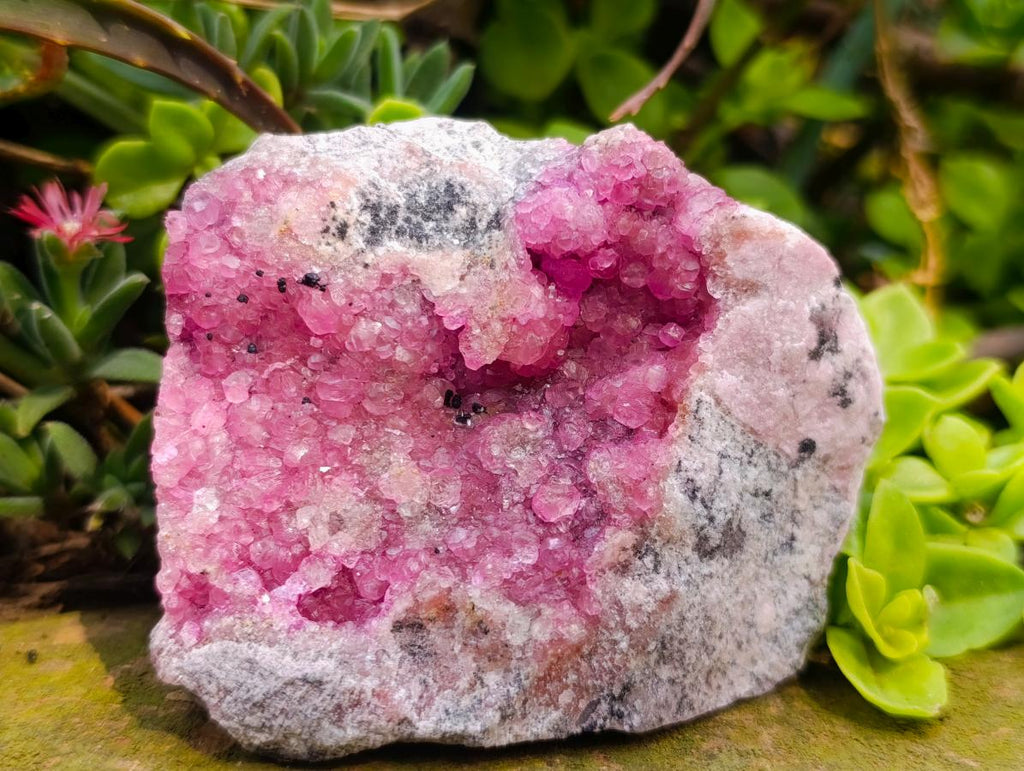 Natural Gemmy Pink Spherocobaltite Classic Cabinet Specimen x 1 From Mashamba West Mine, Congo