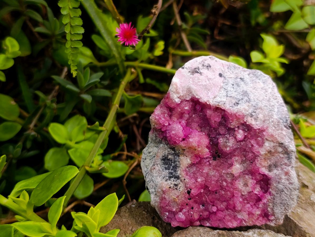 Natural Gemmy Pink Spherocobaltite Classic Cabinet Specimen x 1 From Mashamba West Mine, Congo