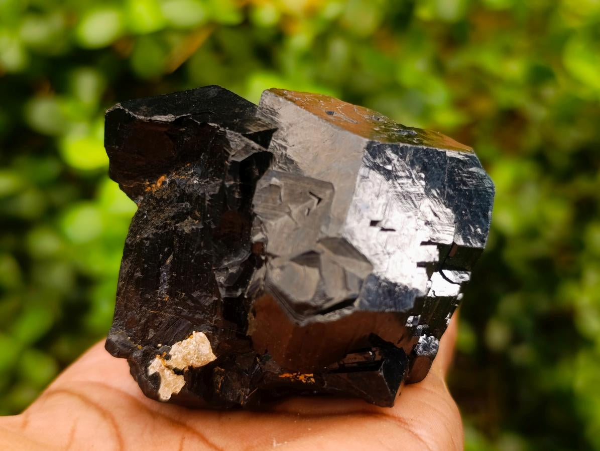 Natural Shiny Schorl Tourmaline with a Double Mercedes Star terminated Crystal Specimen x 1 From Erongo, Namibia